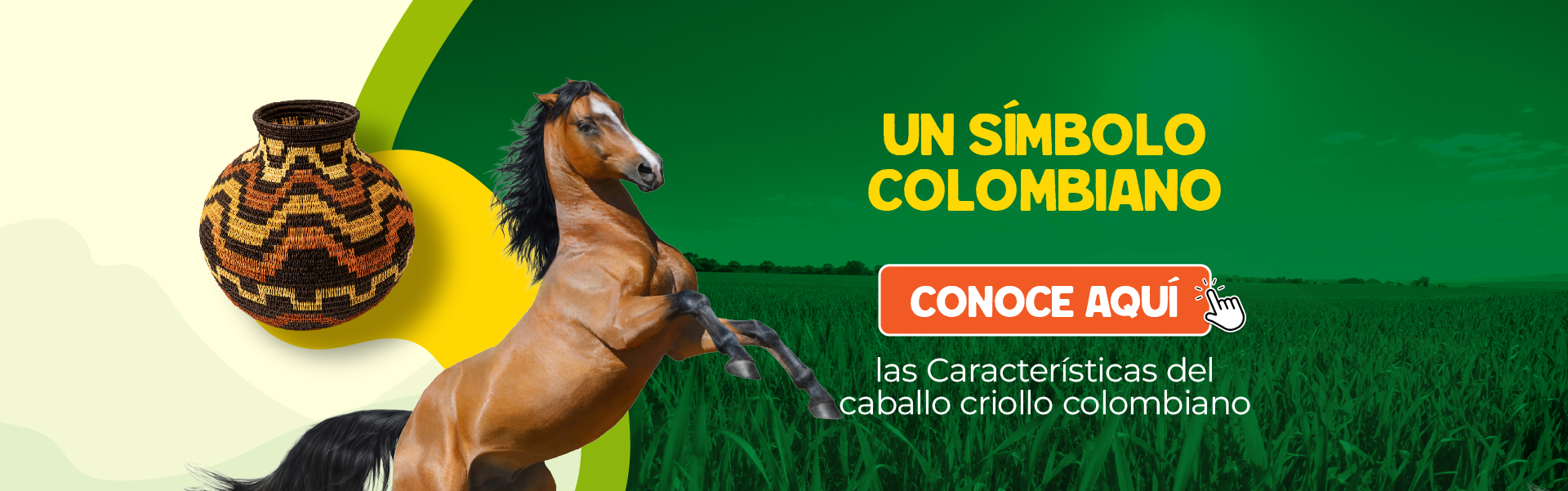 Agroexpo